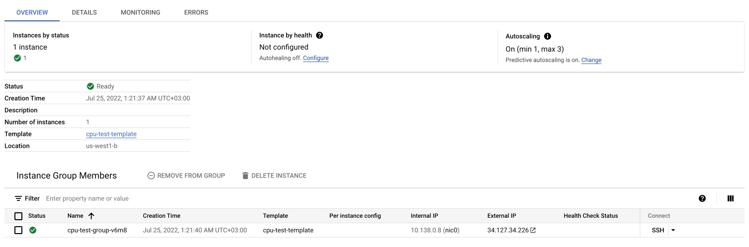 check instance group