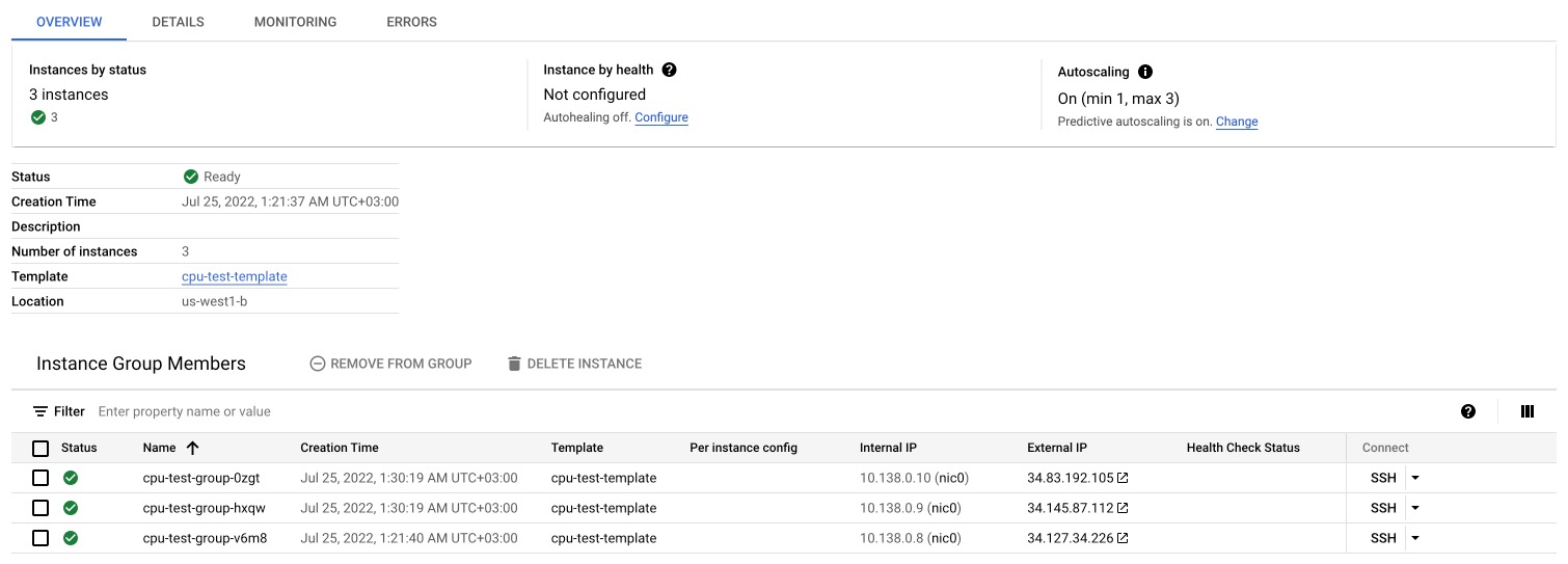 check instance group